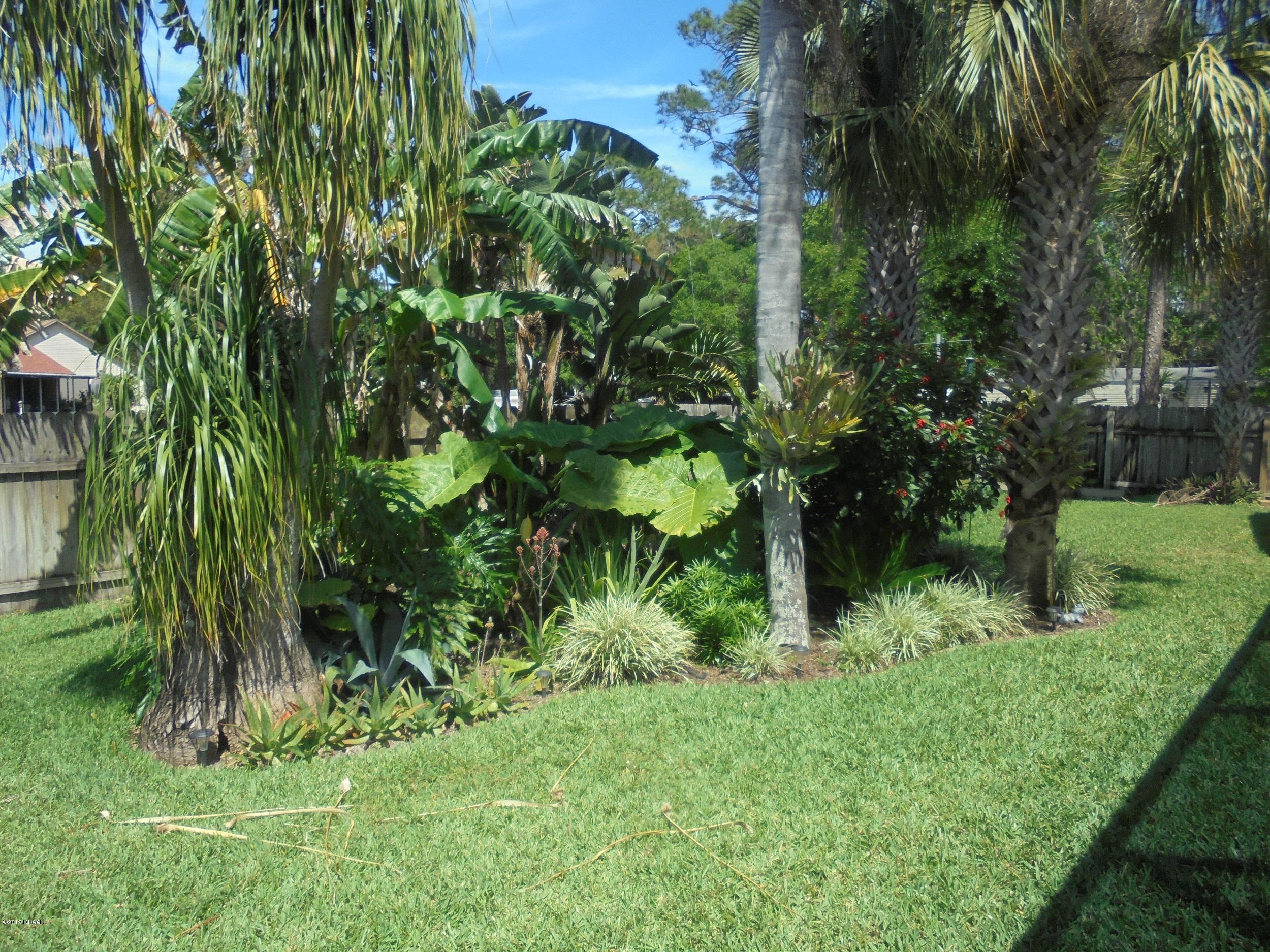 601 Newton Road Port Orange, FL 32127 - Photo 34 of 43 BACKYARD