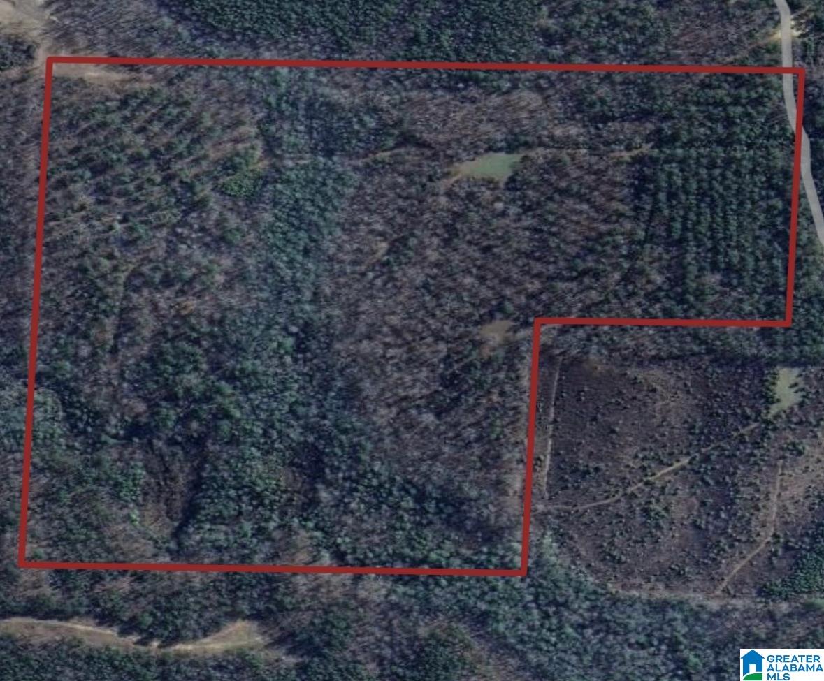 0 Jimmy Brown Road Hamilton, AL 35570 - Photo 1 of 1