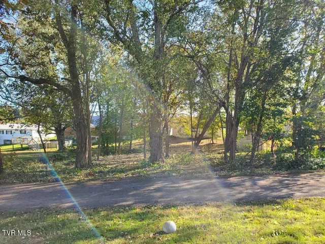 $21,500 | 0 East Iris East Street, Unit P/O7, Mosheim, TN 37818