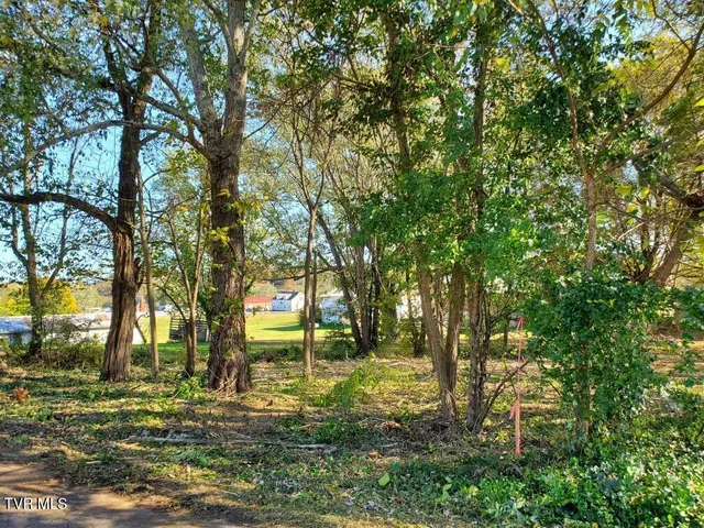 $21,500 | 0 East Iris East Street, Unit P/O7, Mosheim, TN 37818