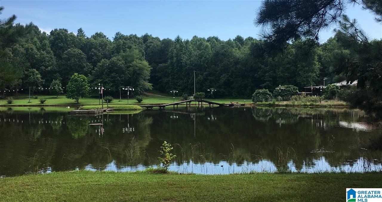 9276 County Road 2 Waverly, AL 36879 - Photo 1 of 38
