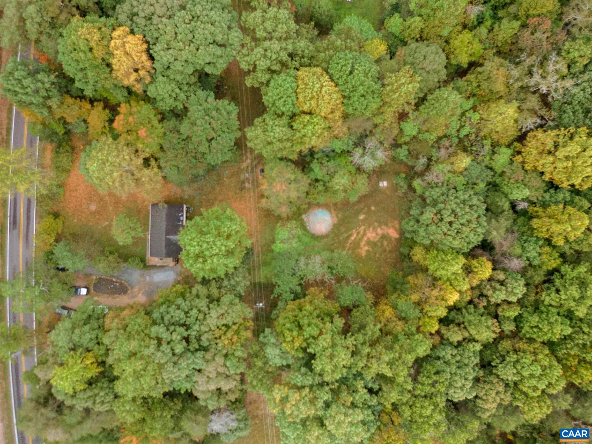2588 South Blue Ridge Turnpike Rochelle, VA 22738 - Photo 3 of 30 a view of a yard with plants and tree