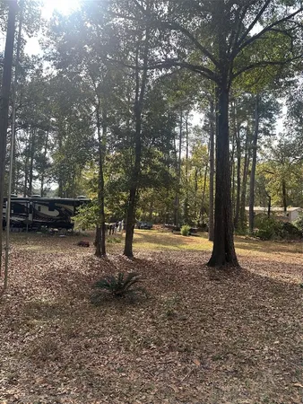 a view of outdoor space with deck and trees