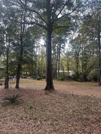 a view of a tree in the middle of a yard