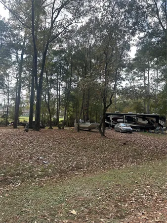 a view of a backyard with tree