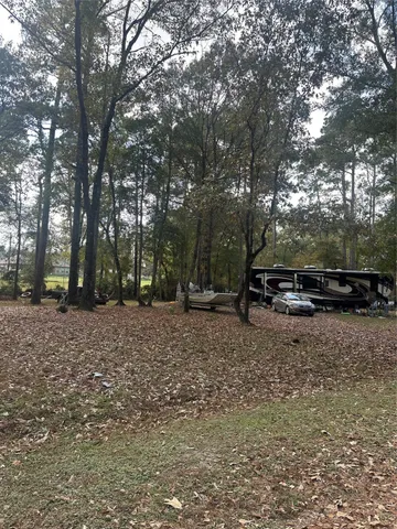 a view of a backyard with tree