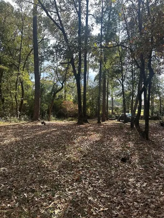 a view of outdoor space with trees