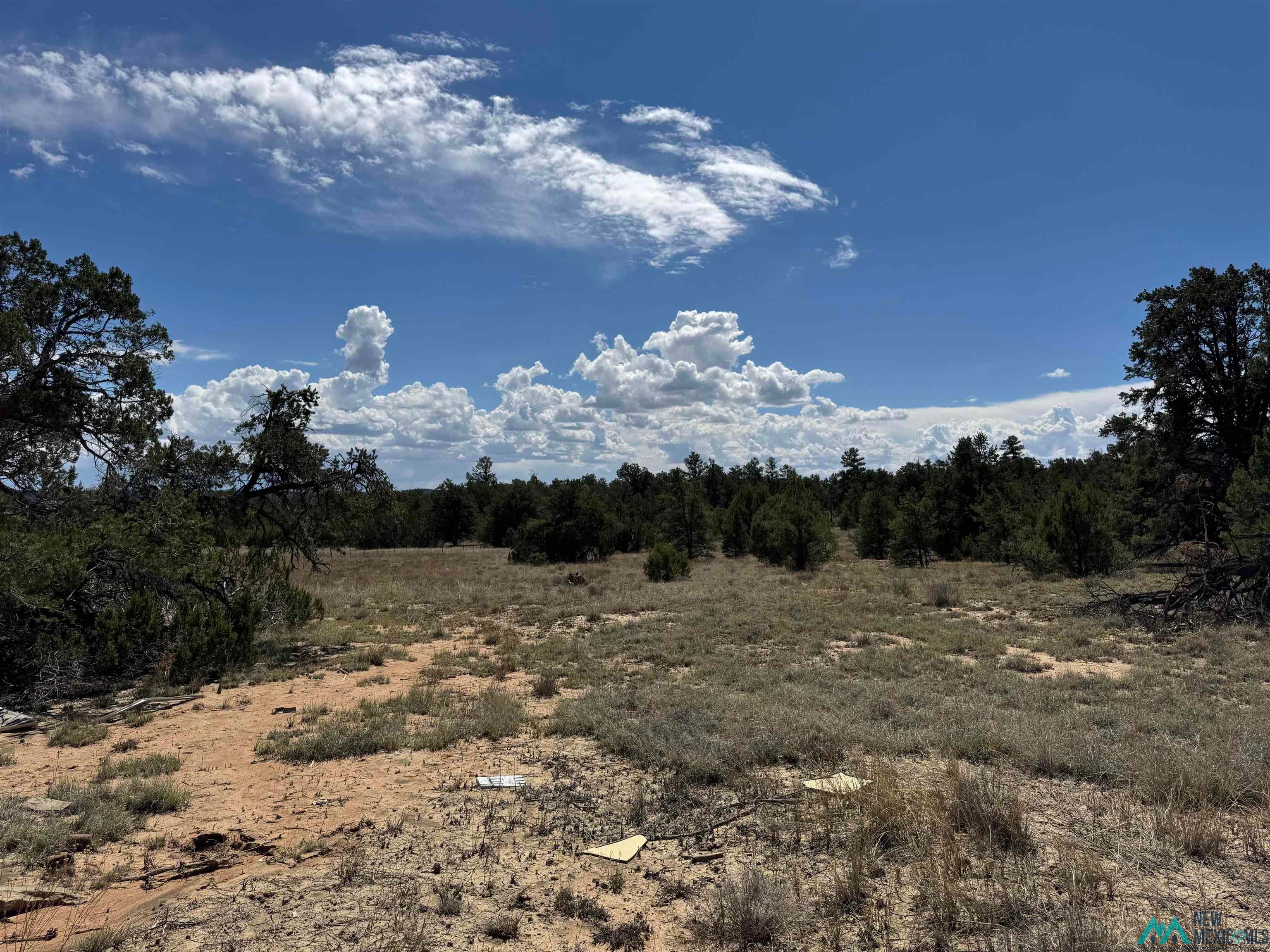 13 Davids Rock Road Candy Kitchen, NM 87357 - Photo 8 of 22 View of local wilderness