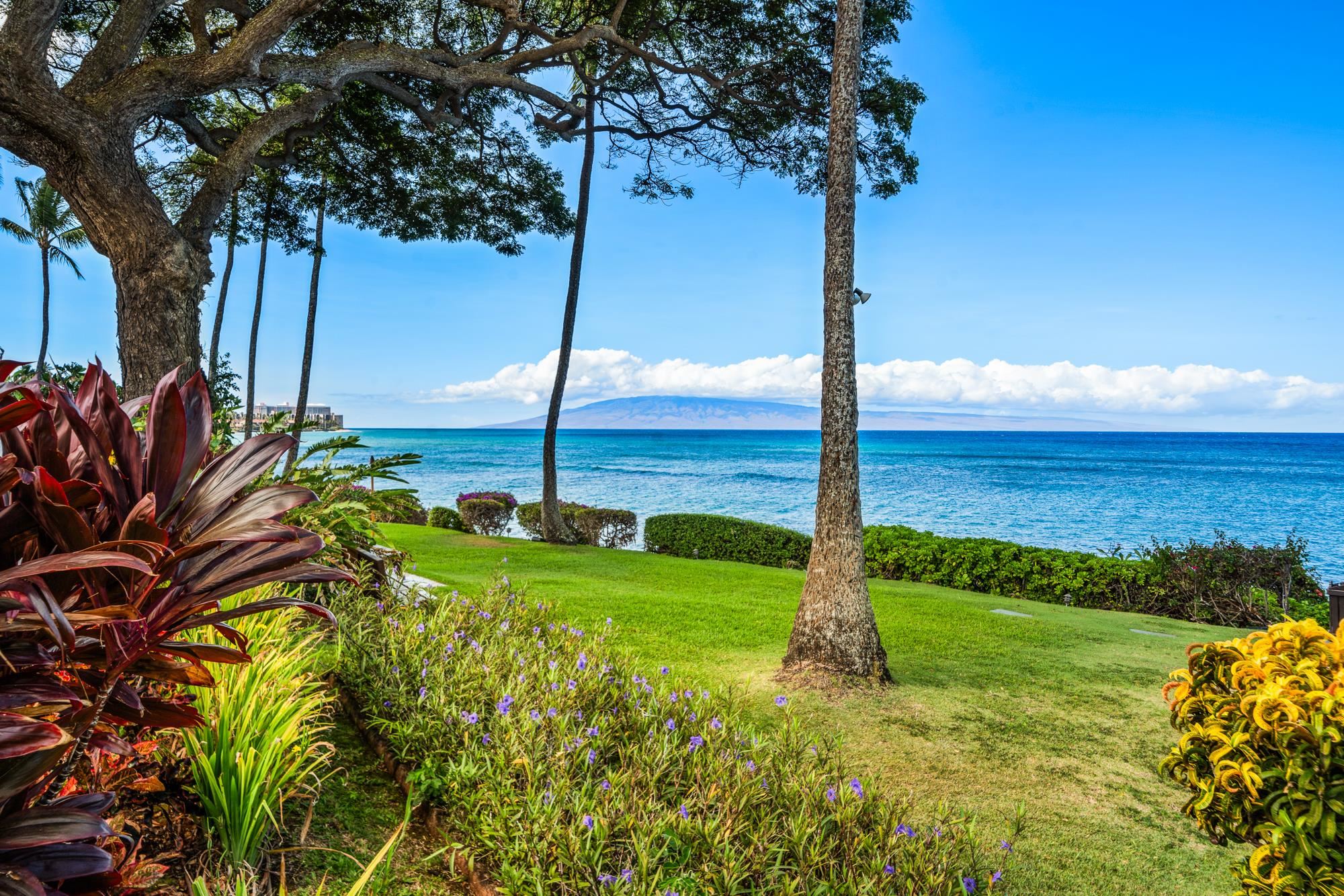 3959 Lower Honoapiilani Road, Unit 417 Lahaina, HI 96761 - Photo 23 of 37 Gallery Image 23