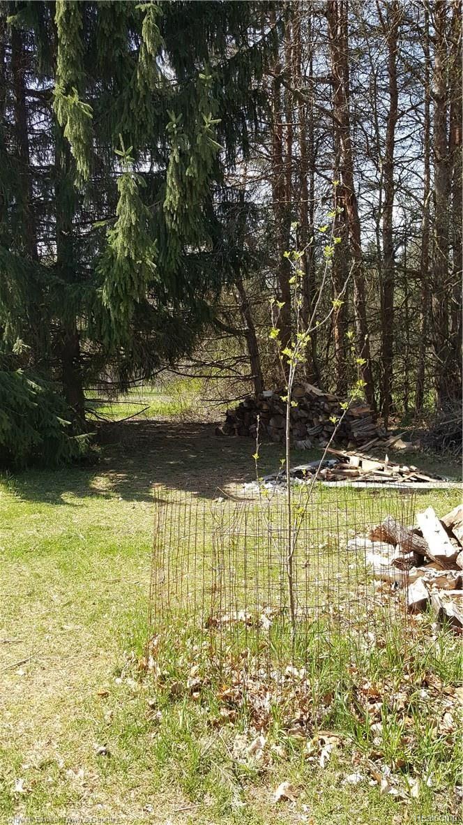 8462 McClements Road Brighton, MI 48114 - Photo 11 of 42 20170418_120809.jpg