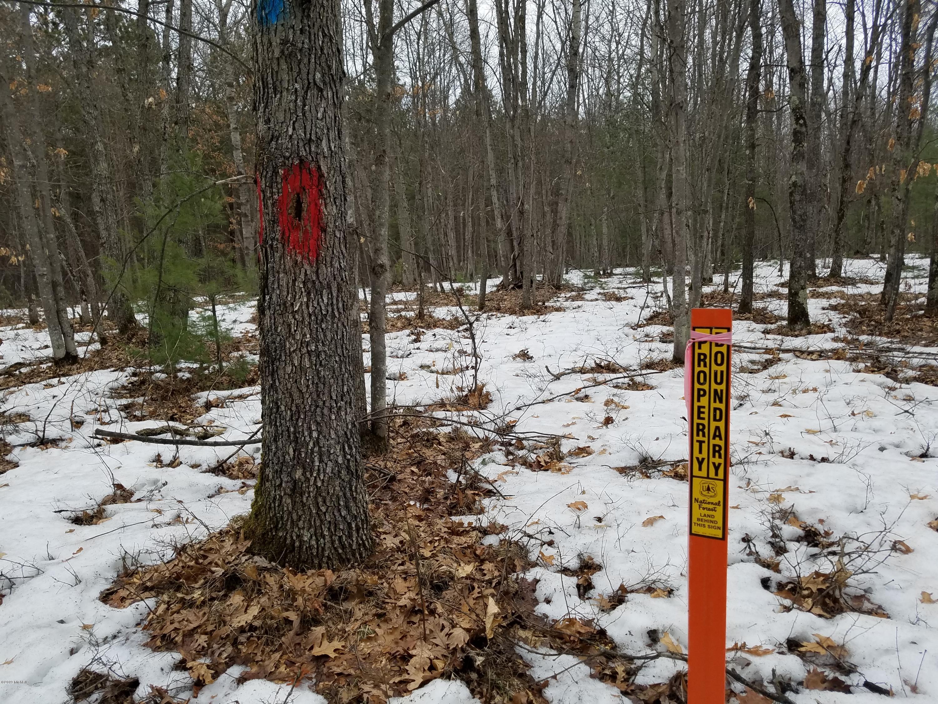 Guenthardt Road Manistee, MI 49660 - Photo 6 of 15 National Forest Boundary