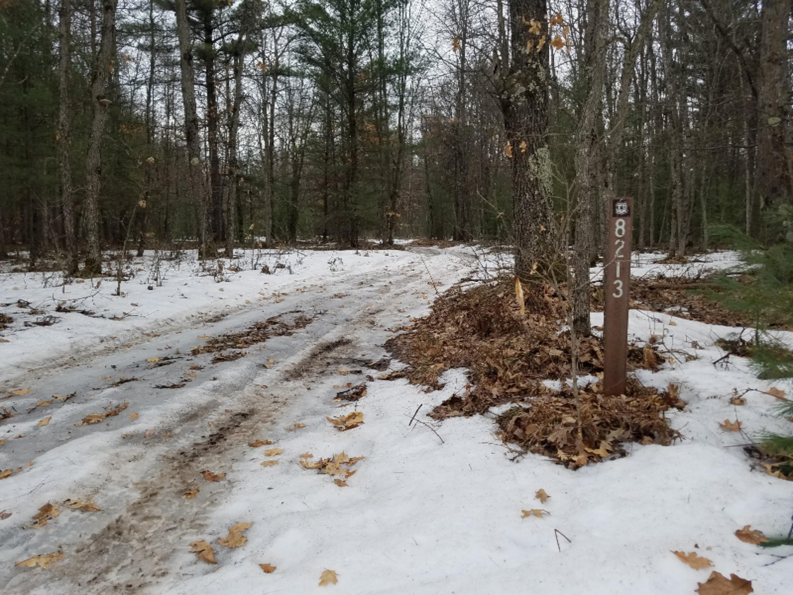Guenthardt Road Manistee, MI 49660 - Photo 10 of 15 Two-track entrance from Guenthardt