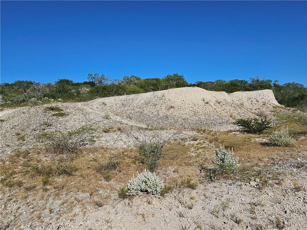 24024 441st Circle Mathis, TX 78368 - Photo 32 of 57 Gallery Image 32