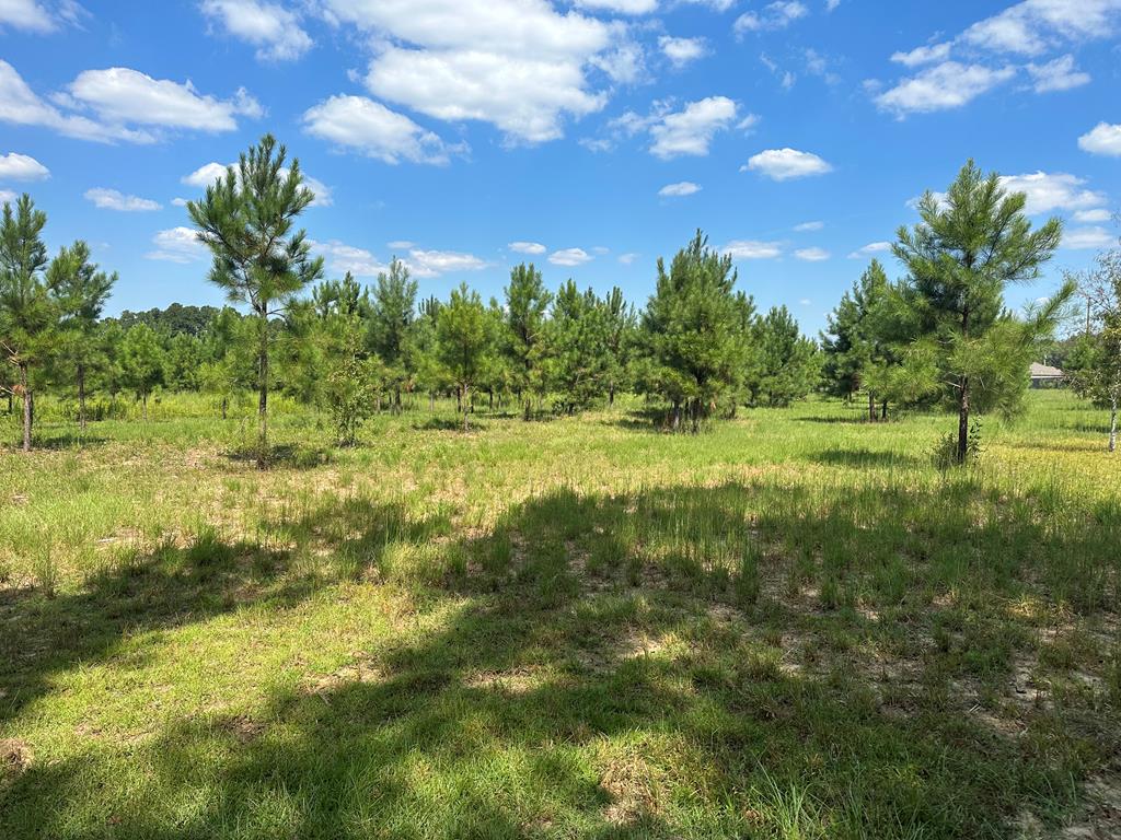 1454 Middleton Road Dothan, AL 36301 - Photo 14 of 21