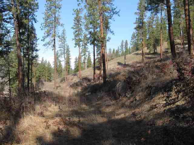 2300 Pierre Lake Road Kettle Falls, WA 99141 - Photo 3 of 8 Gallery Image 3