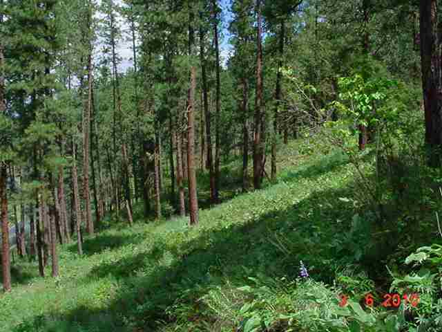 2300 Pierre Lake Road Kettle Falls, WA 99141 - Photo 5 of 8 Gallery Image 5