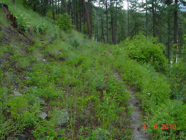 2300 Pierre Lake Road Kettle Falls, WA 99141 - Photo 6 of 8 Gallery Image 6