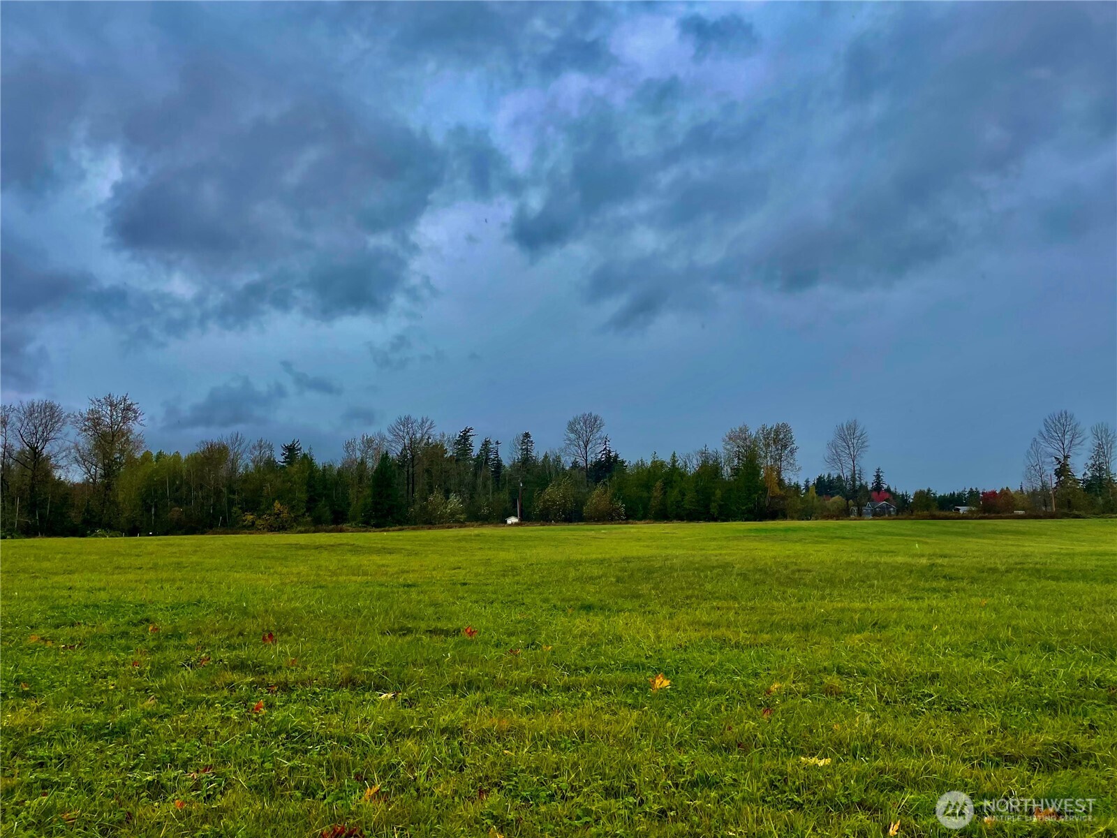 -xx Market Road Bellingham, WA 98226 - Photo 3 of 9 Gallery Image 3
