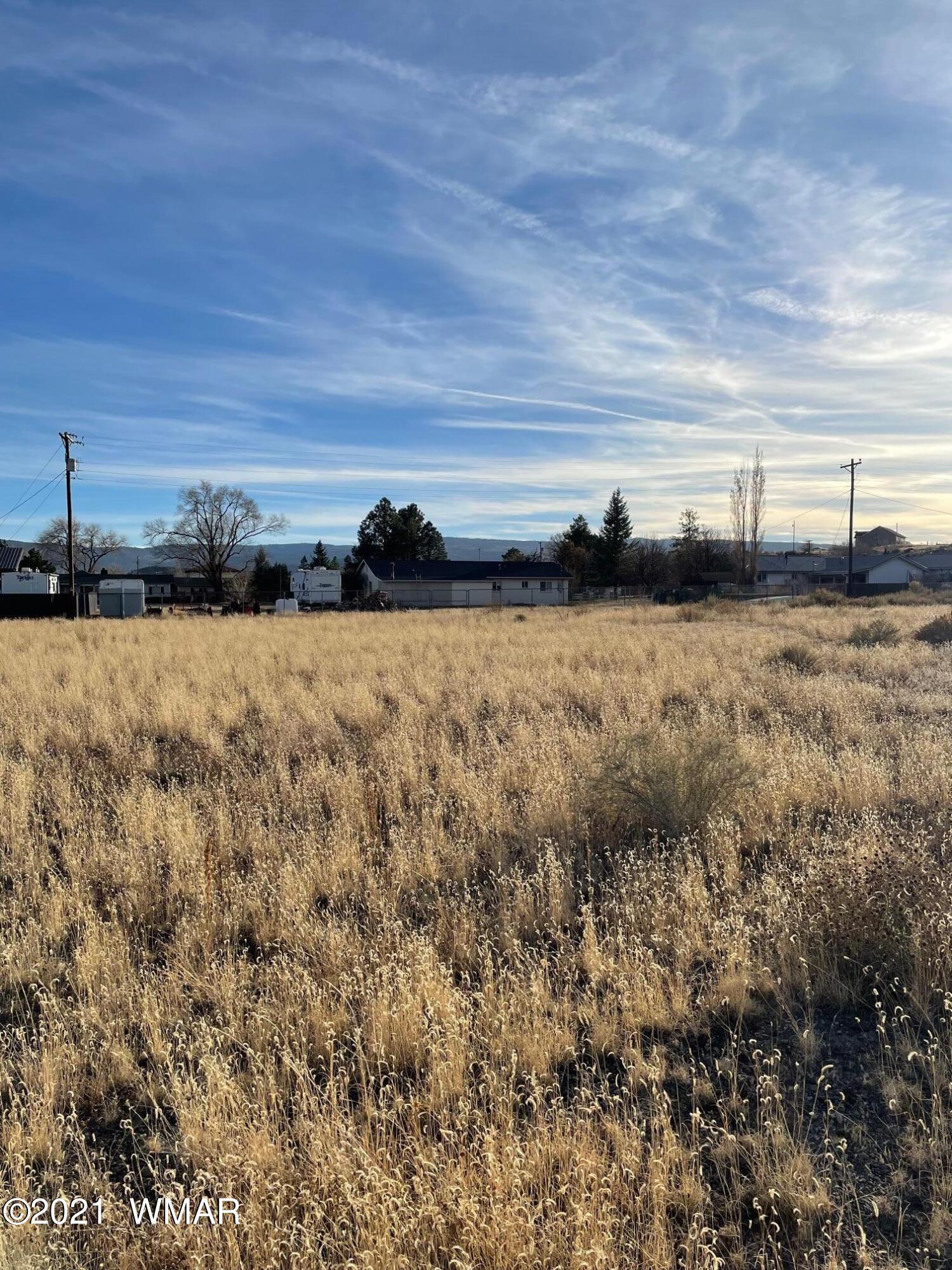 3 North Avenue Springerville, AZ 85938 - Photo 4 of 5