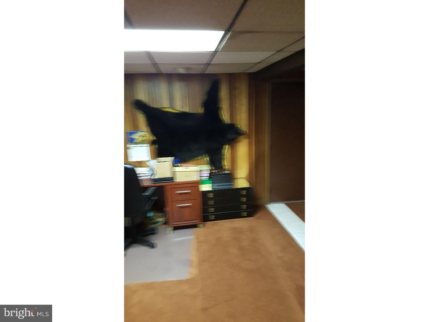 1199 Payne Road Green Lane, PA 18054 - Photo 14 of 24 Office / Study