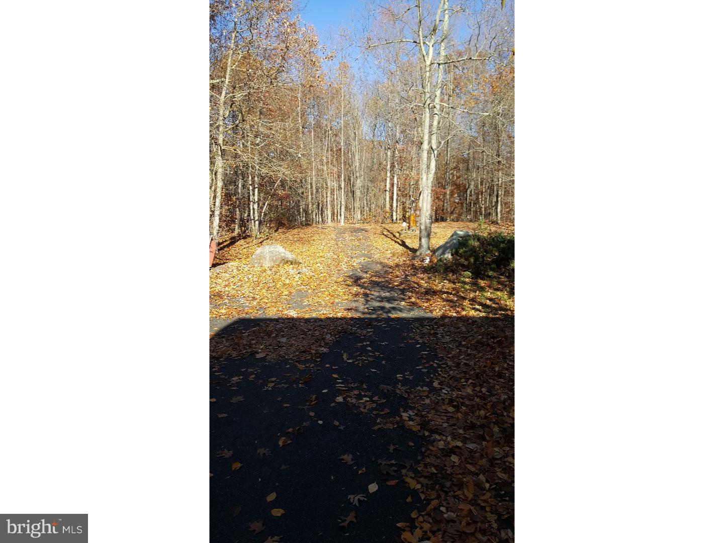1199 Payne Road Green Lane, PA 18054 - Photo 3 of 24 Driveway