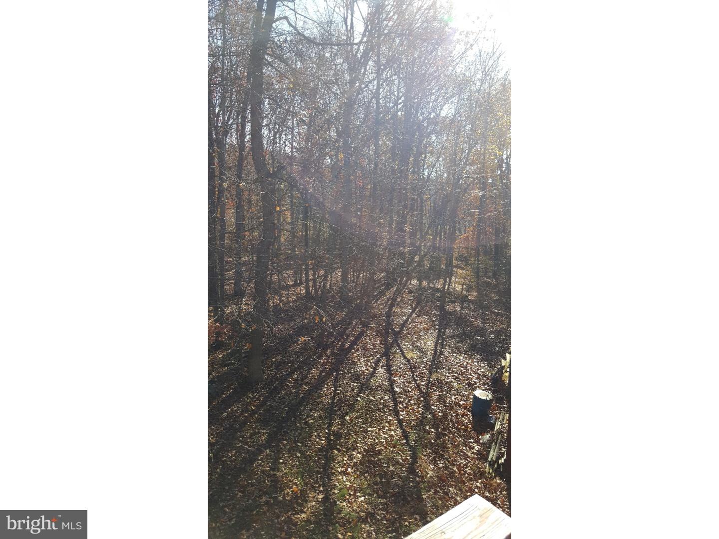 1199 Payne Road Green Lane, PA 18054 - Photo 21 of 24 Side Yard