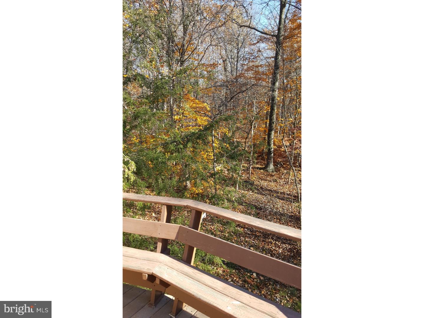 1199 Payne Road Green Lane, PA 18054 - Photo 4 of 24 Deck