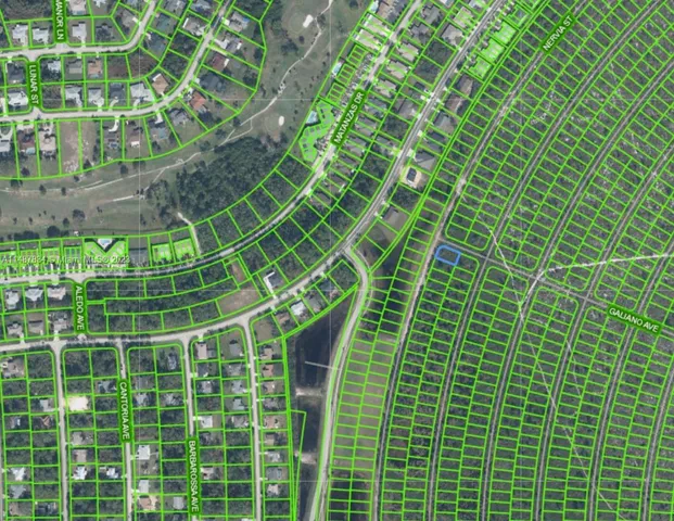 a view of a plant in a garden