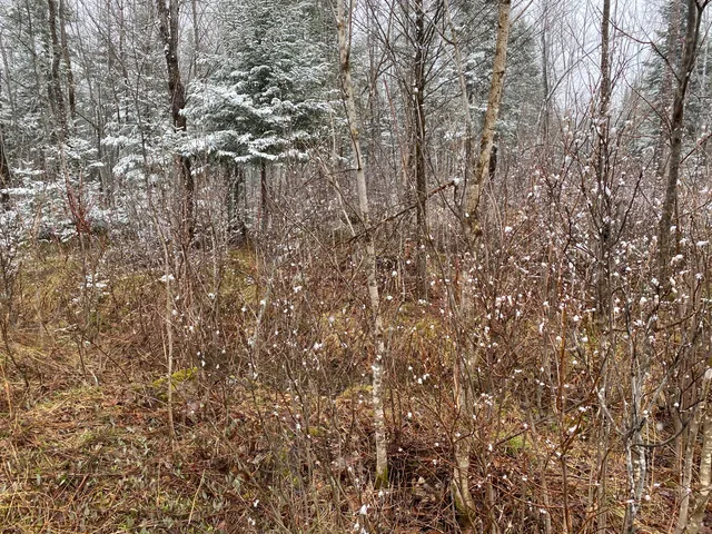 $399,900 | 913 Skedgell Road, Orient, ME 04471