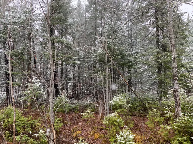 $399,900 | 913 Skedgell Road, Orient, ME 04471