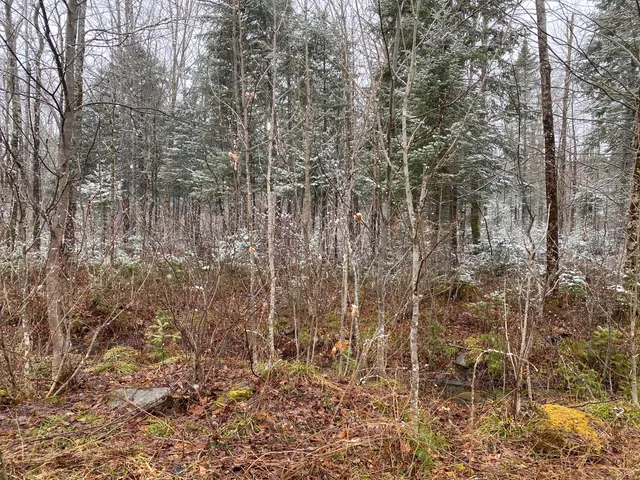 $399,900 | 913 Skedgell Road, Orient, ME 04471