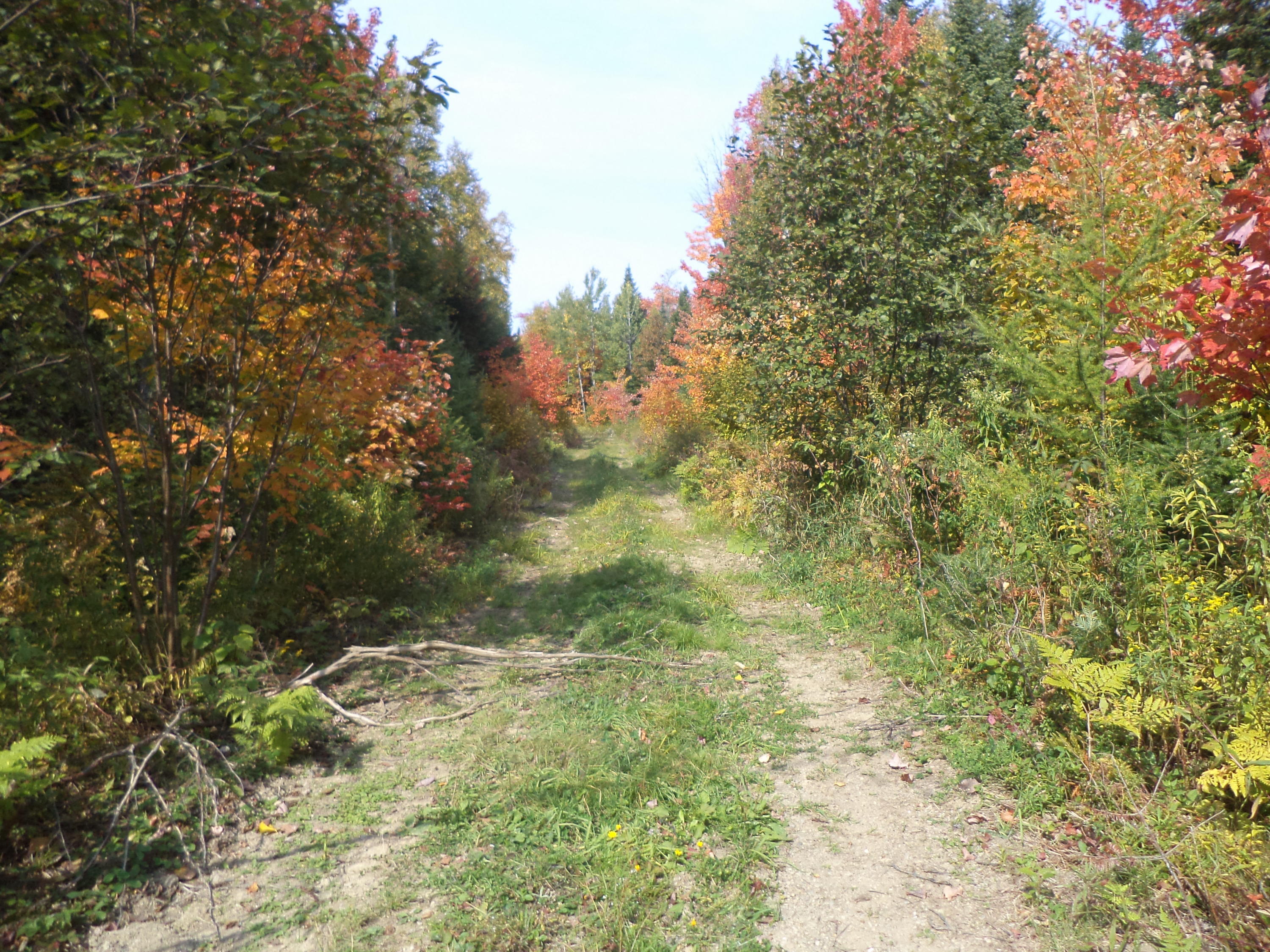 913 Skedgell Road Orient, ME 04471 - Photo 3 of 19 DSC01582
