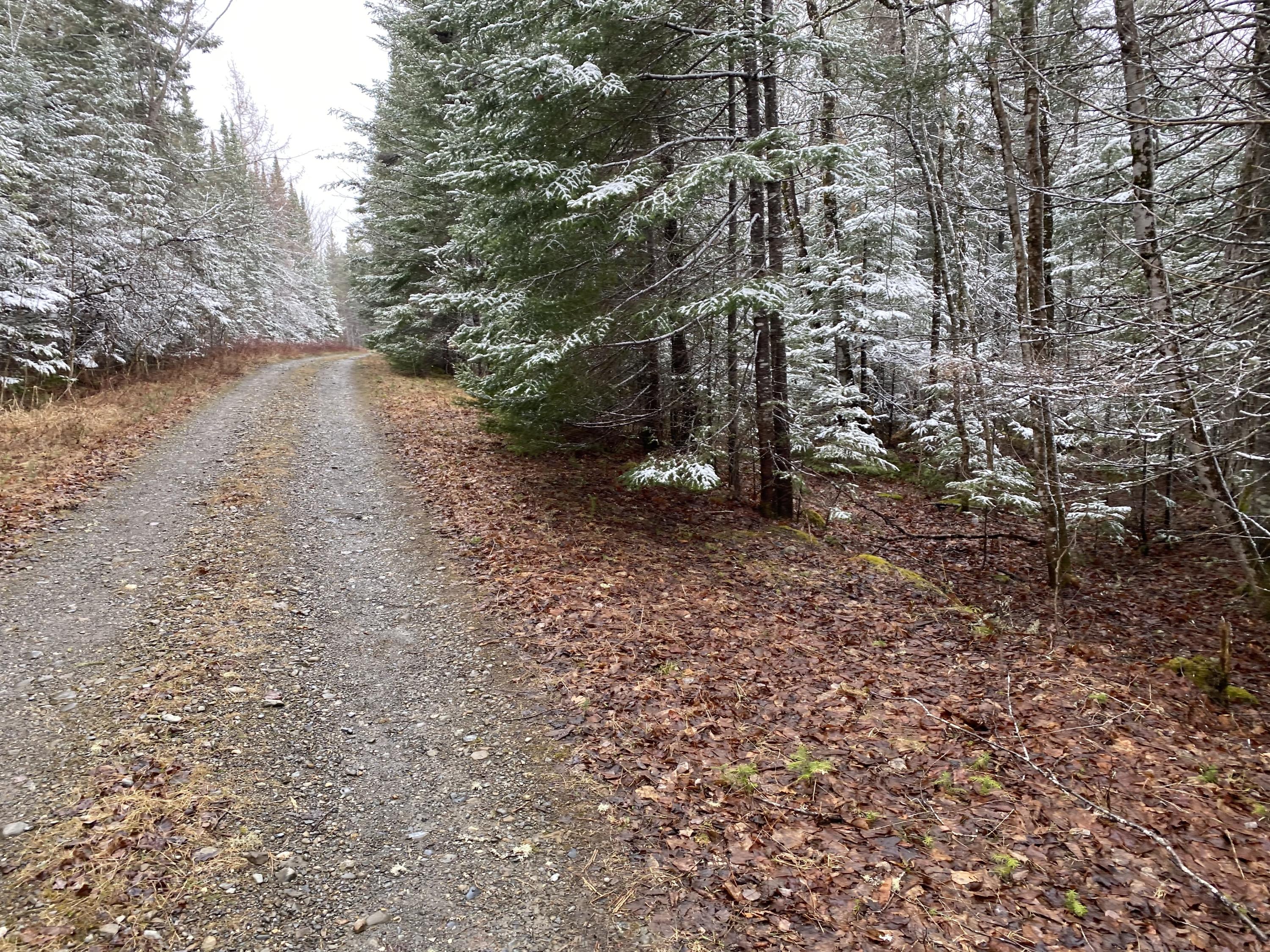 913 Skedgell Road Orient, ME 04471 - Photo 4 of 19 !cid_C9F0B828-084A-4120-B011-79D597519CF