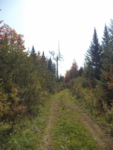 $399,900 | 913 Skedgell Road, Orient, ME 04471