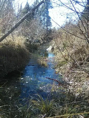 $399,900 | 913 Skedgell Road, Orient, ME 04471