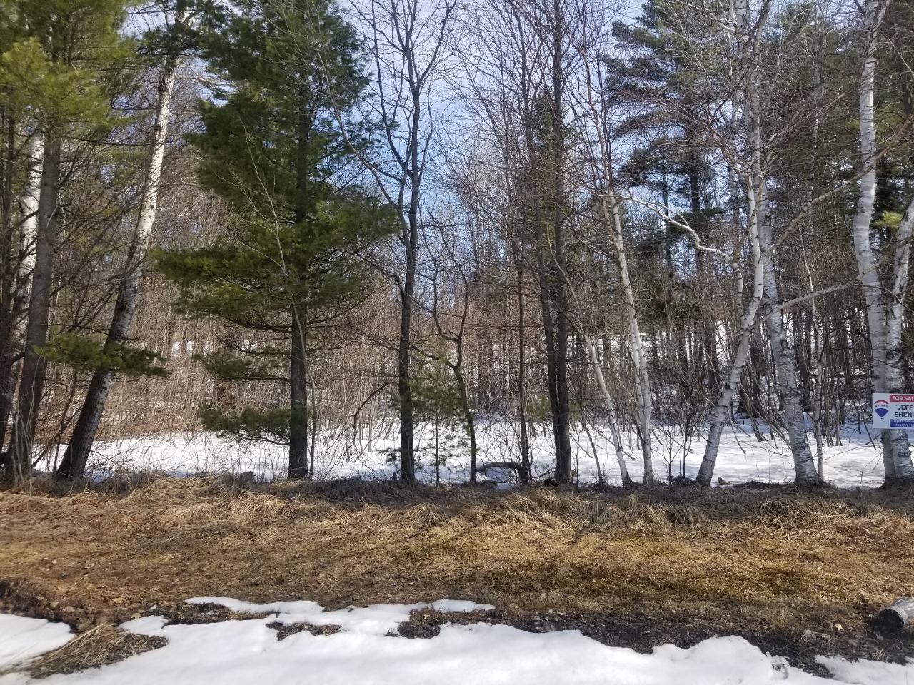 On Diamond Lake Road, Unit LOT 2 Woodruff, WI 54568 - Photo 5 of 10 Gallery Image 5