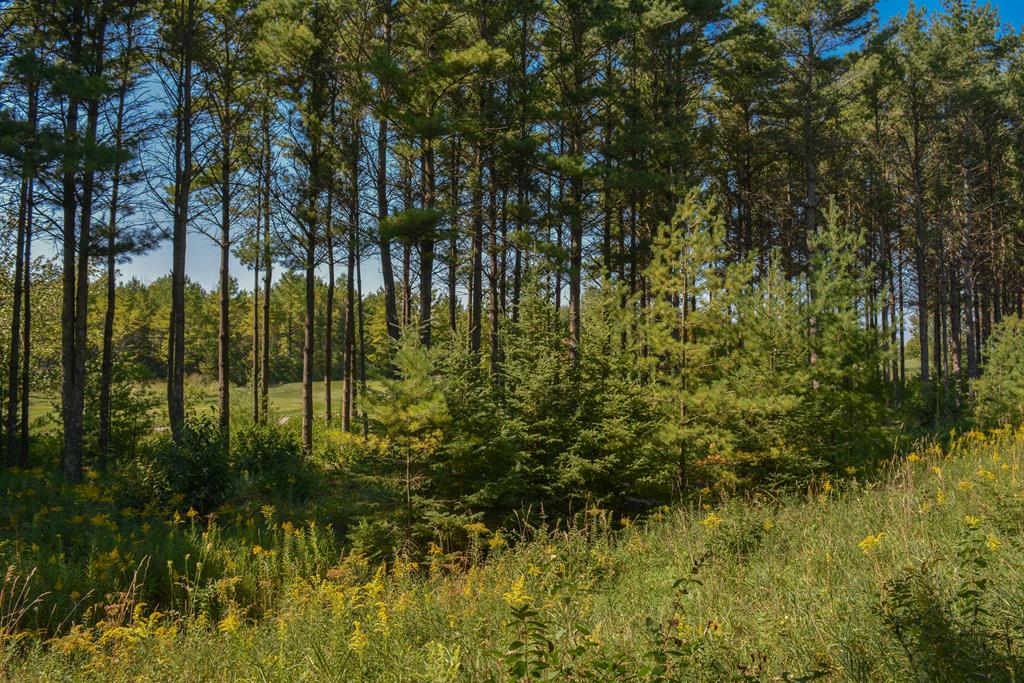 Lot 4 North Cobblestone Road Egg Harbor, WI 54209 - Photo 9 of 11