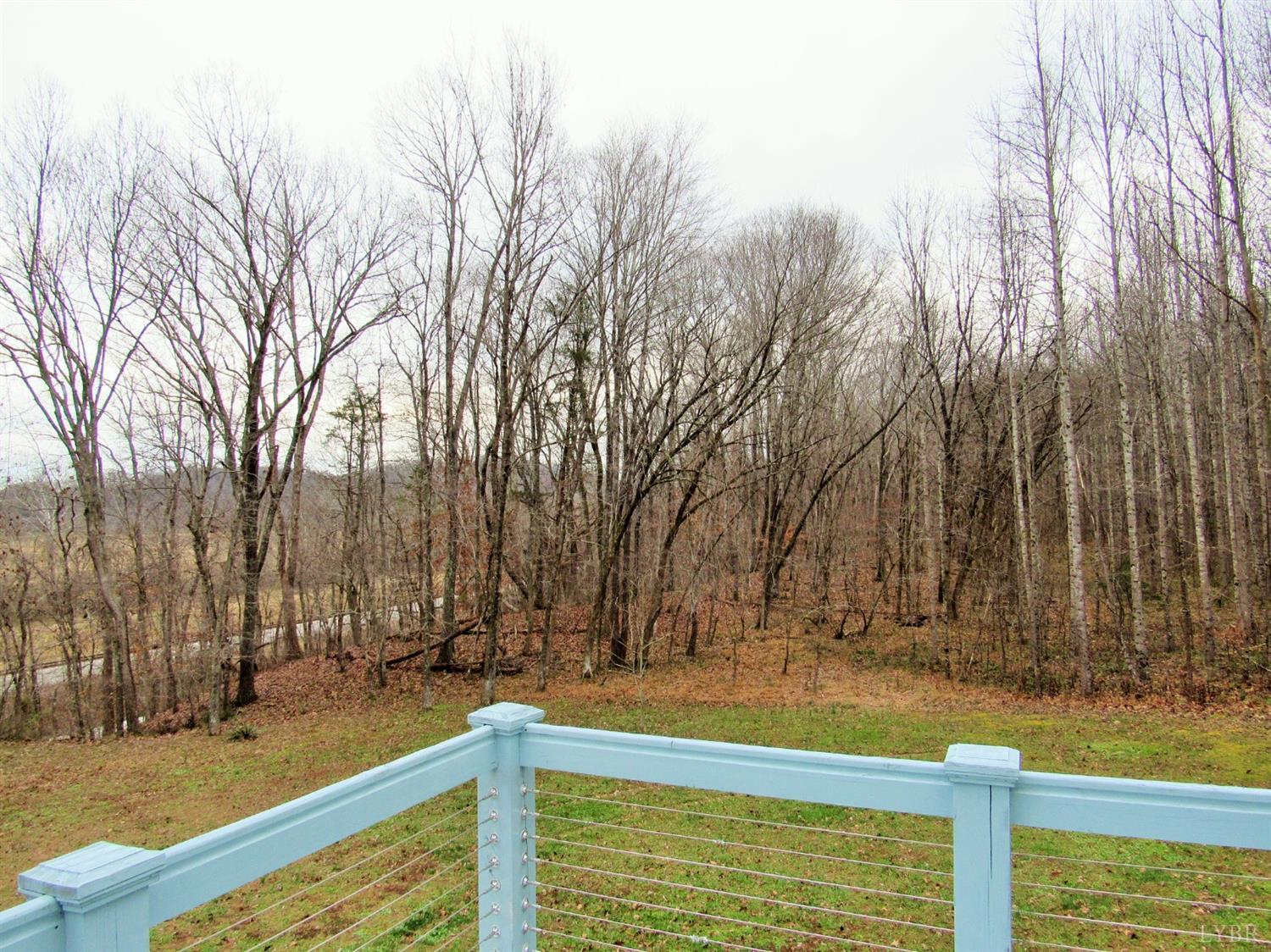 1695 Stapleton Road Madison Heights, VA 24572 - Photo 7 of 25 a view of a yard with large trees