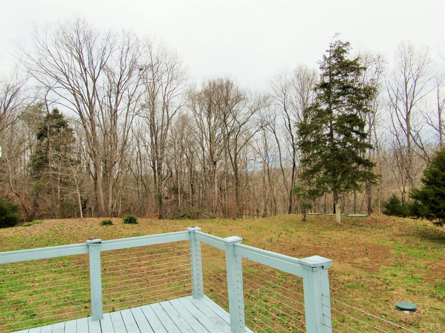 1695 Stapleton Road Madison Heights, VA 24572 - Photo 8 of 25 a view of backyard with tree