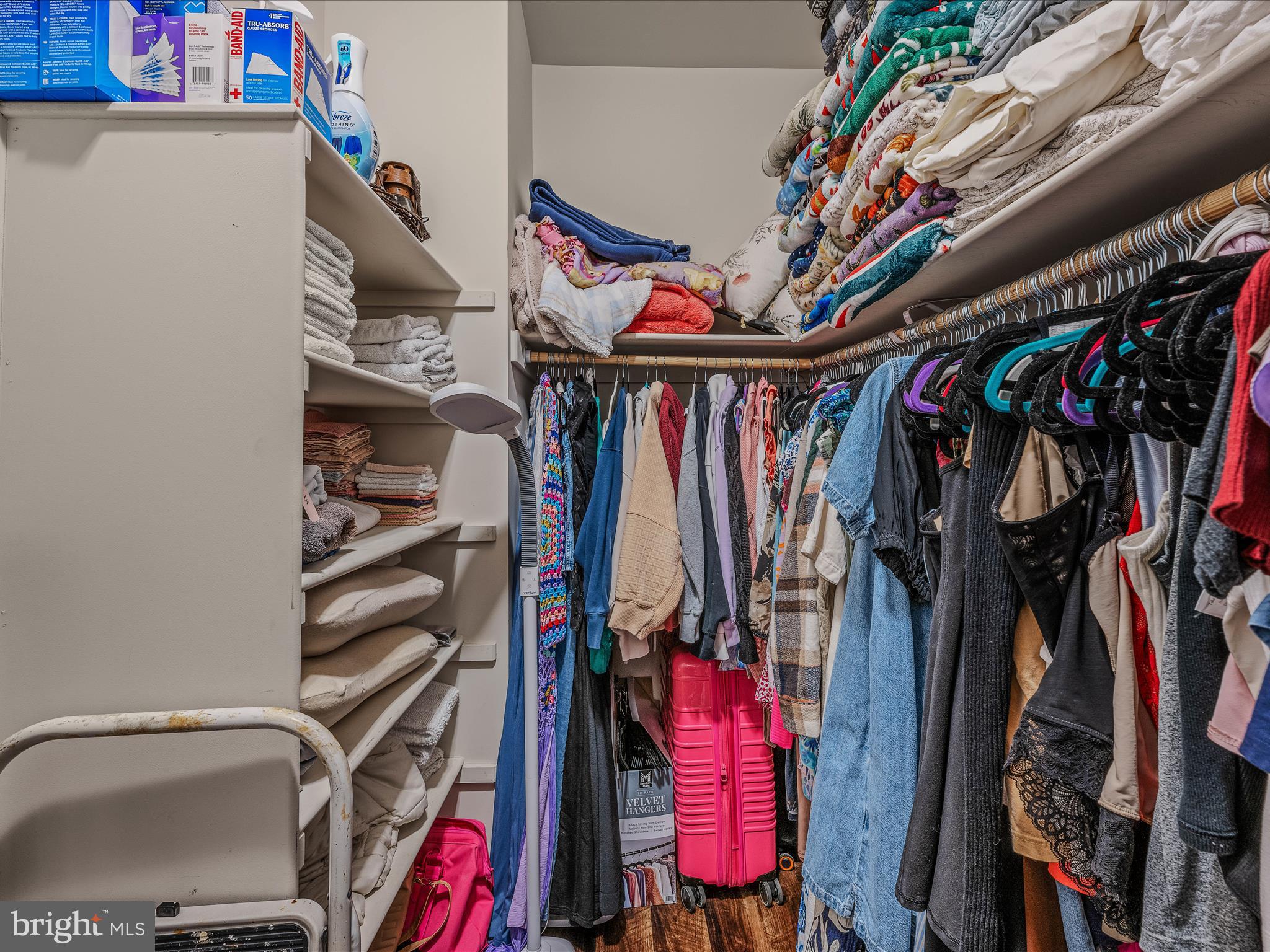 258 Tributary Trail Falling Waters, WV 25419 - Photo 39 of 89 a view of walk in closet with clothes