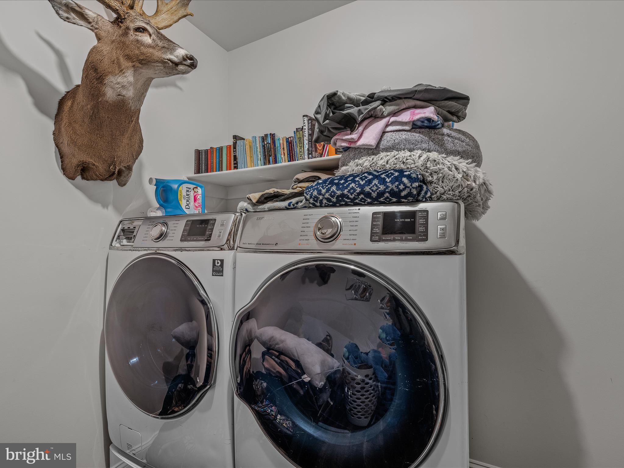 258 Tributary Trail Falling Waters, WV 25419 - Photo 55 of 89 Downstairs Laundry Room