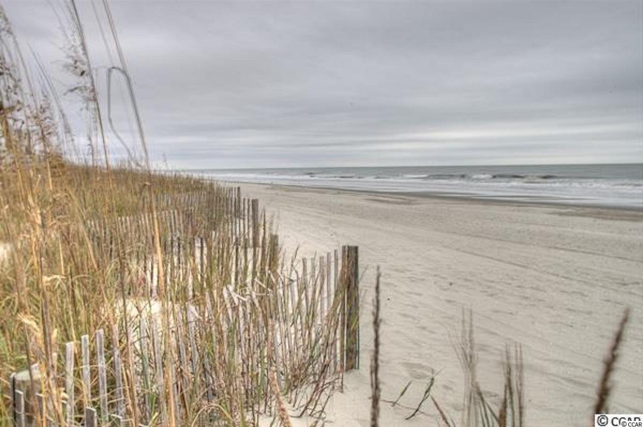 313 Cardita Loop Myrtle Beach, SC 29588 - Photo 12 of 14 Gallery Image 12