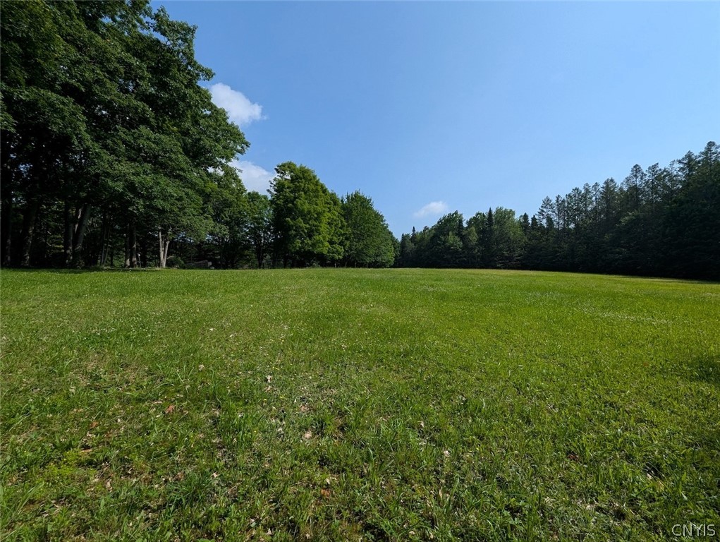 8880 Hemlock Road Wheeler, NY 14809 - Photo 25 of 50