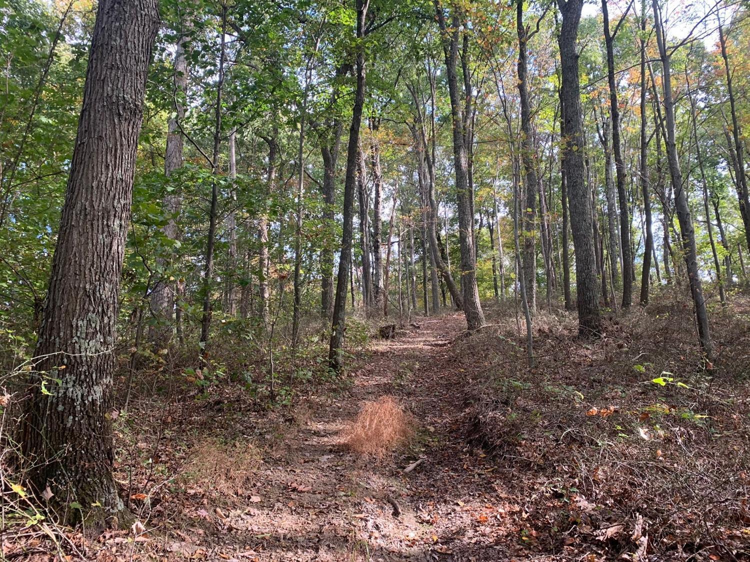 A Phipps Road Lucasville, OH 45648 - Photo 27 of 36 Gallery Image 27