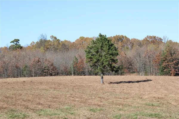 $80,000 | 0 County Road 2780, Mountain View, MO 65548