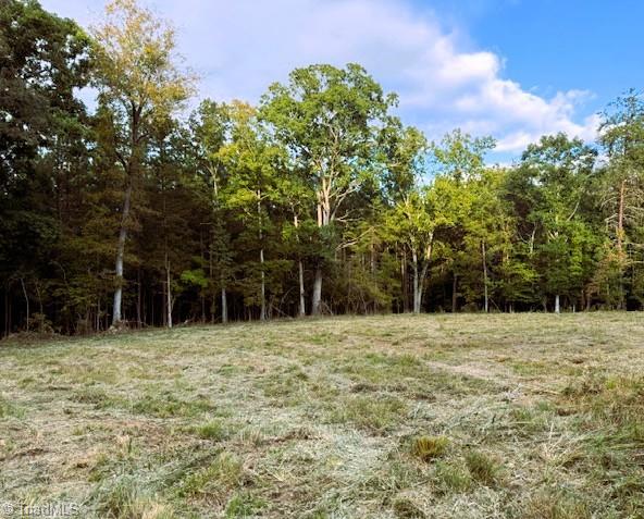 0 Thayer Road Trinity, NC 27370 - Photo 2 of 9