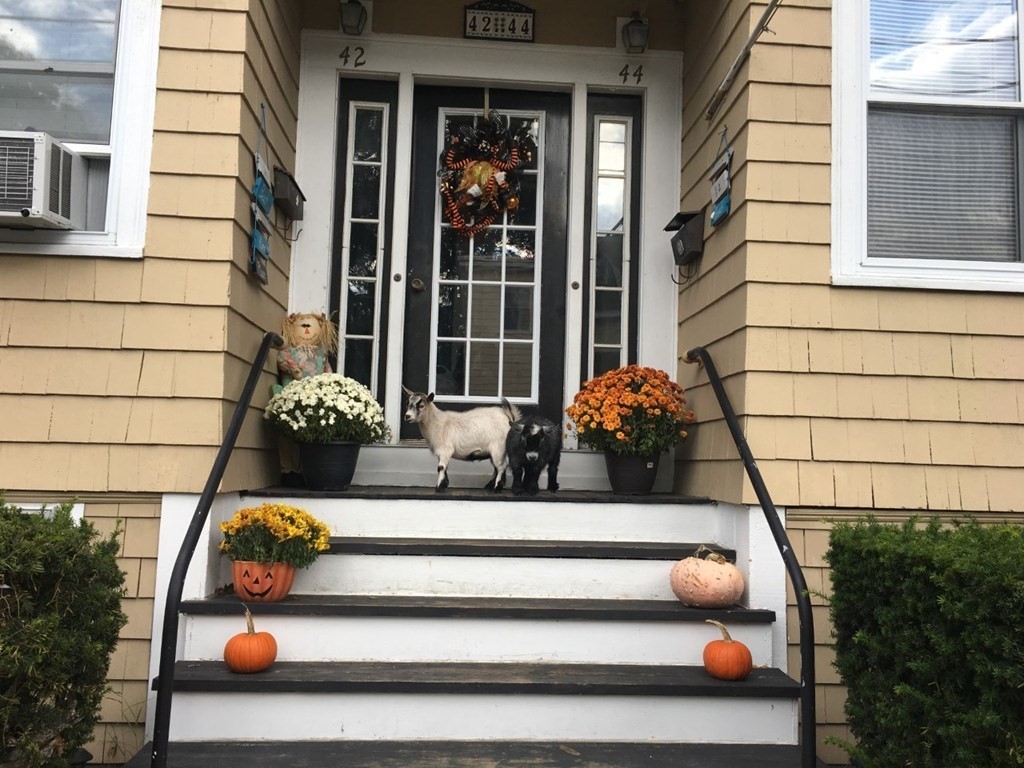 44 Sculpin Way, Unit 44 Swampscott, MA 01907 - Photo 2 of 21 a view of building with outdoor space