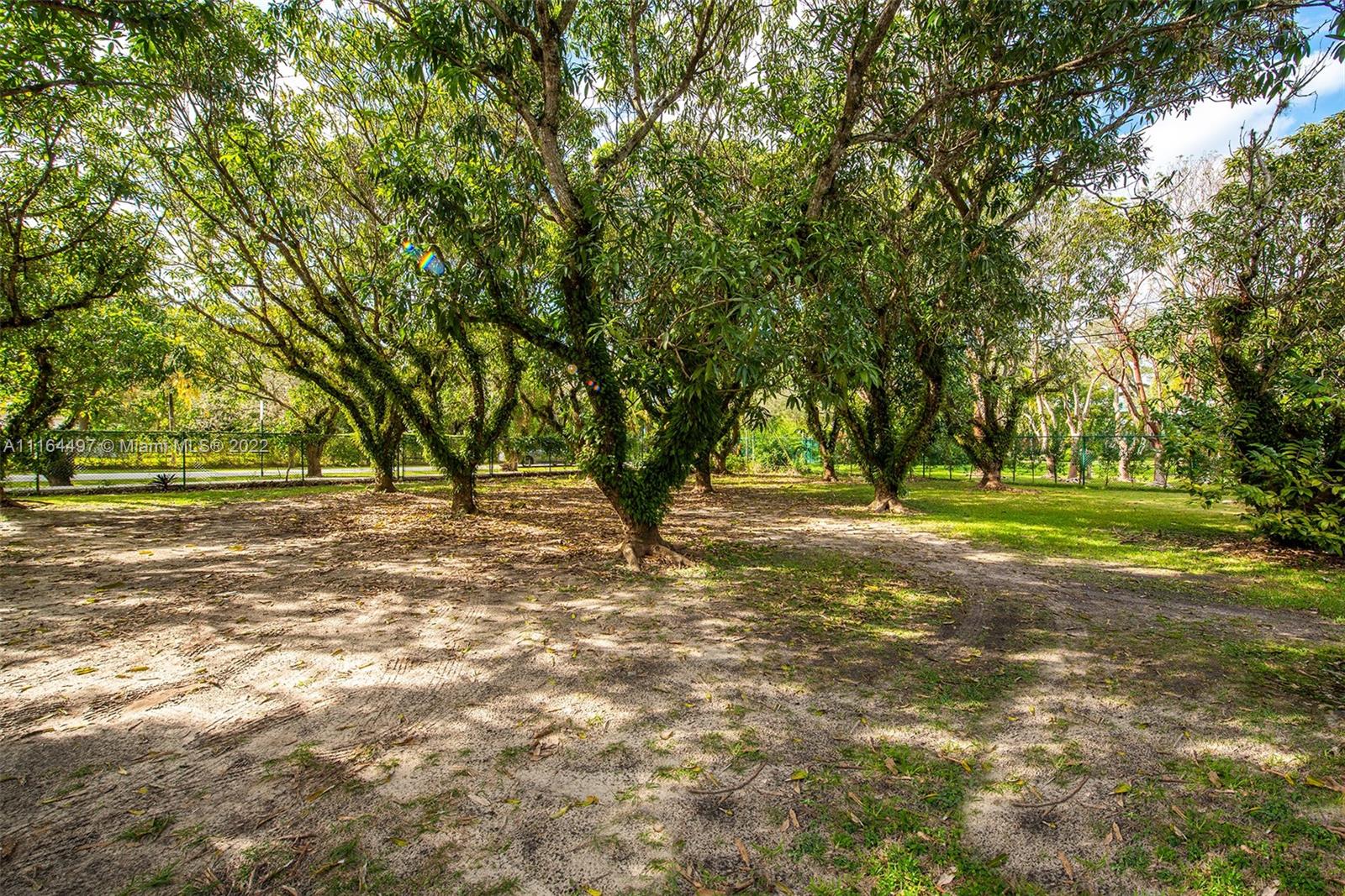 7335 Southwest 104th Street Pinecrest, FL 33156 - Photo 16 of 16 a view of outdoor space with trees