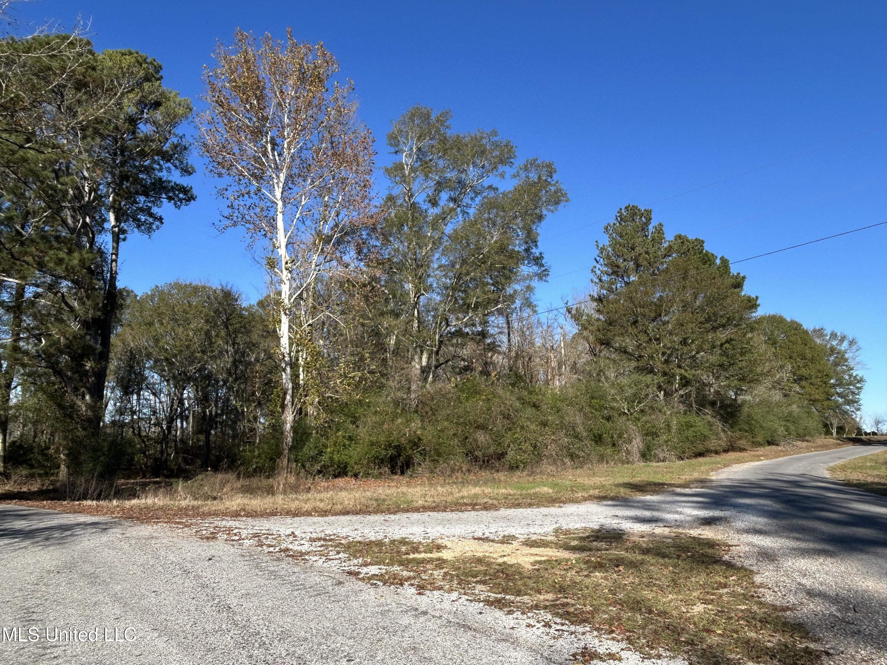 Warren Cook Road Mendenhall, MS 39114 - Photo 6 of 8 Sim-Cook-9.85-Lot3h