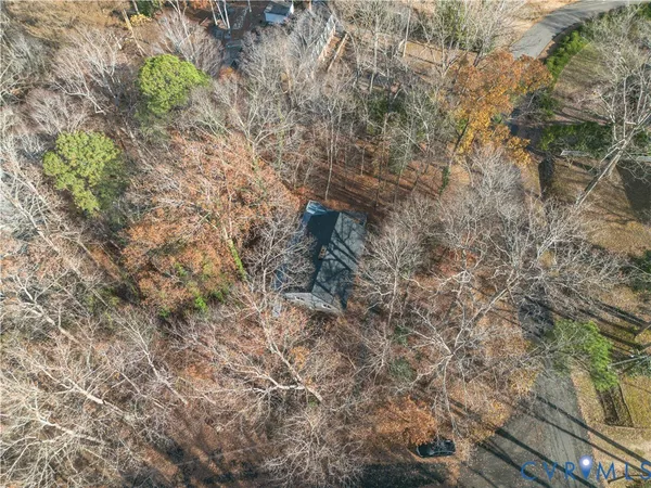 a view of a forest with trees